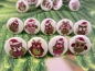 Preview: Weihnachts Eulen Knopf Ohrstecker Winter Uhu owl